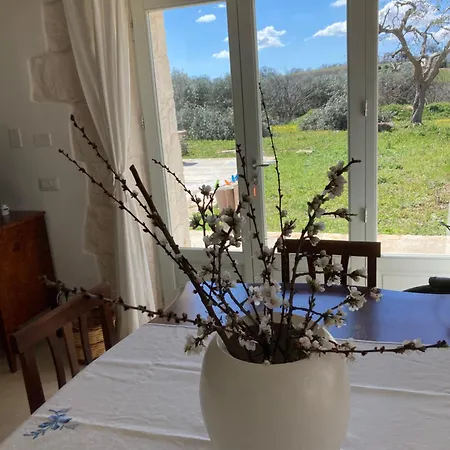 Trullo Masso Antico 펜션 알베르벨로